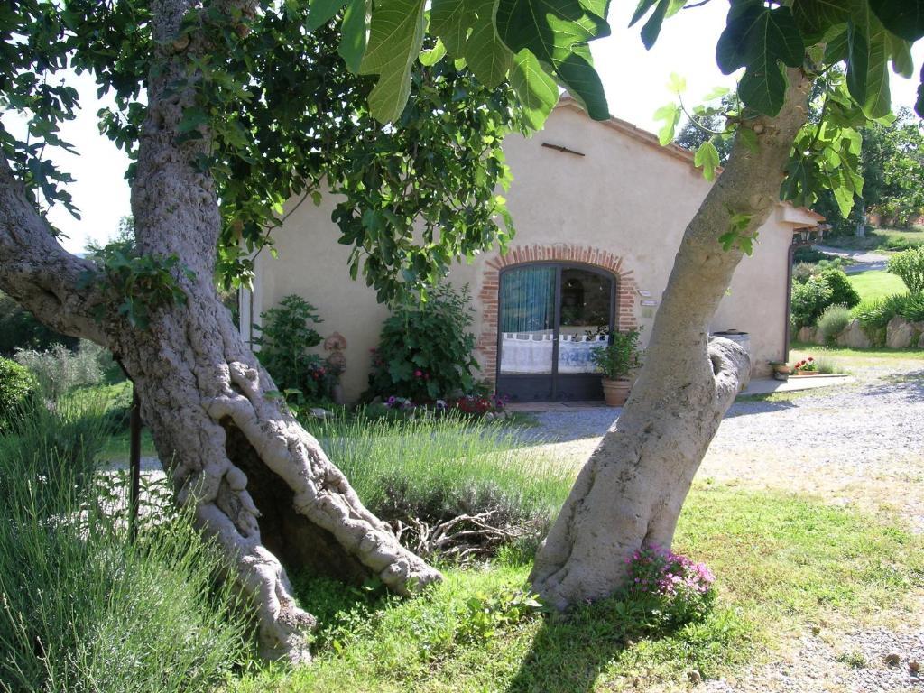 Bellavista Villa Seggiano Ngoại thất bức ảnh